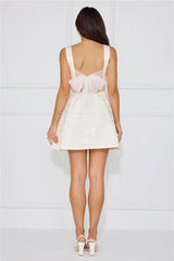 Chic Reverie Mini Dress White