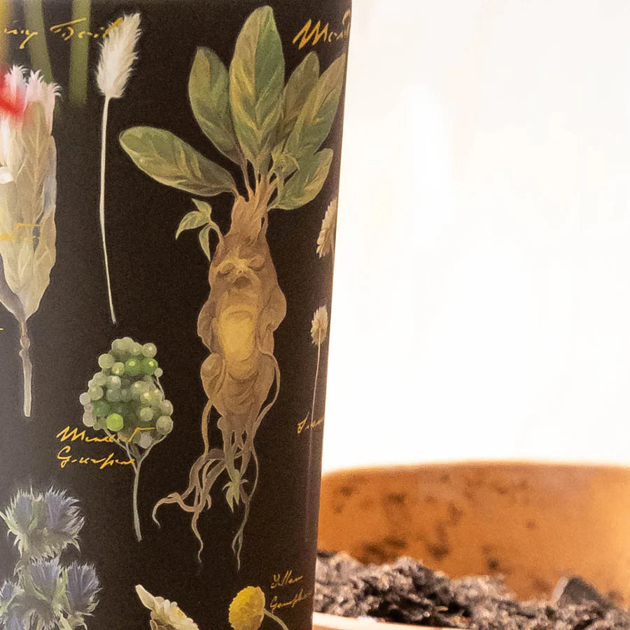 CORKCICLE | Harry Potter Cold Cup Insulated Tumbler with Straw