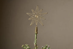 Talini Star Tree Topper